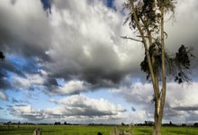 克罗地亚队压倒一切，欧锦赛无往不胜