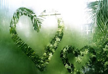 马拉内里逃得生天，卡利亚里难逃降级