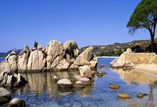 克罗地亚队压倒一切，欧锦赛无往不胜